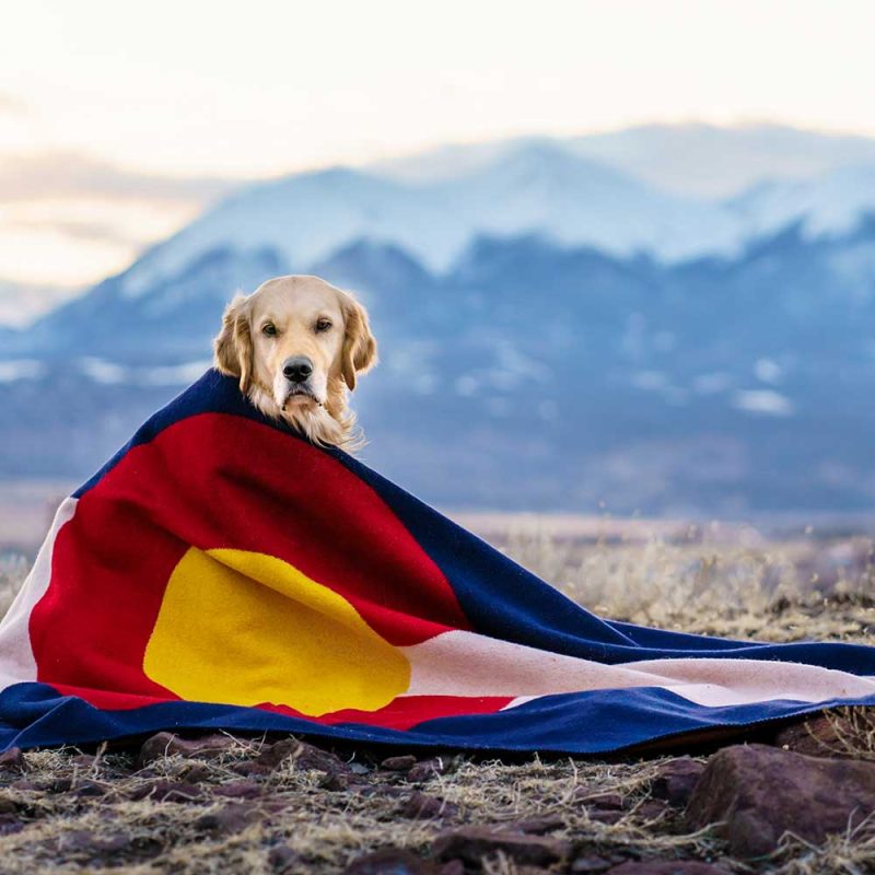 faribault mill colorado flag colorado flag wool throw 29034216652909